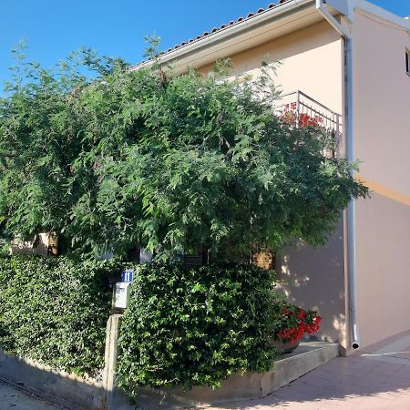 Studio Rocco Novigrad Istria Eksteriør bilde
