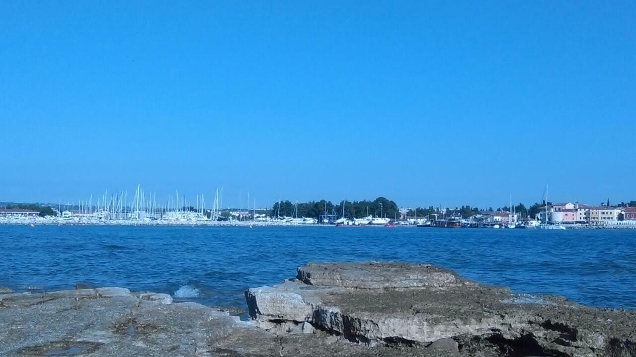 Studio Rocco Novigrad Istria Eksteriør bilde